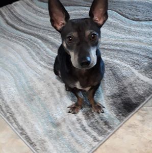 Meet your Posher, Jo